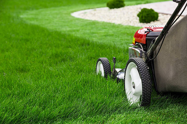 How To Have A Successful Lawn Care Business